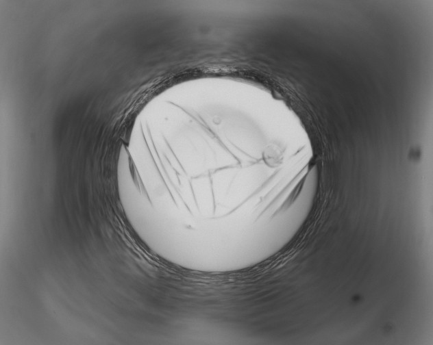 X0000115221444200912091210