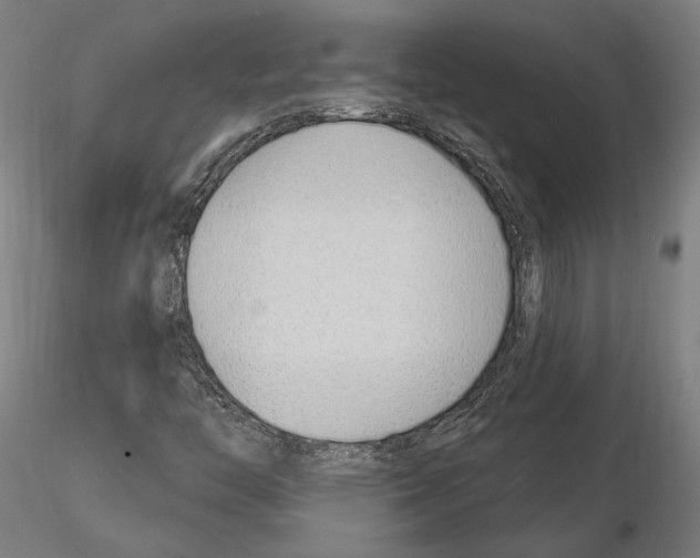 X0000115221446200912091210
