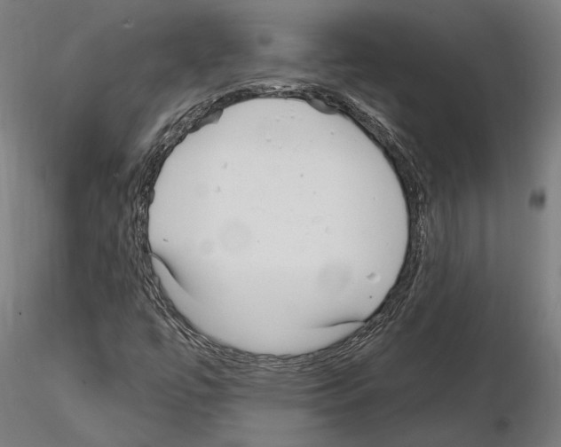 X0000115221447200912091210