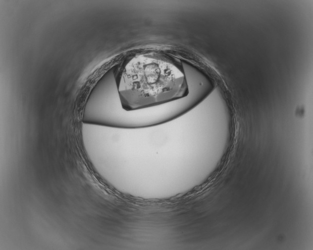 X0000115221448200912091210