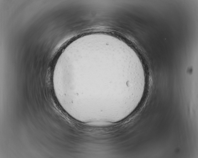 X0000115221450200912091210