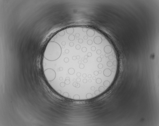 X0000115221451200912091210