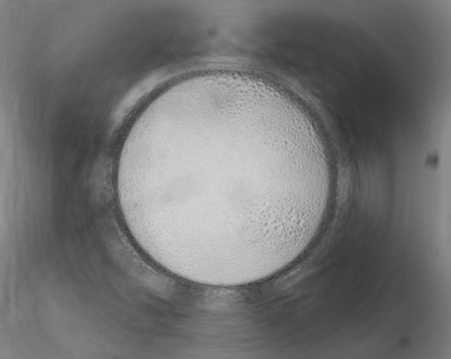 X0000115221454200912091210