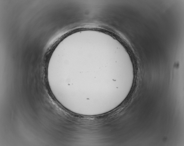 X0000115221456200912091210