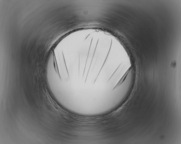 X0000115221457200912091210