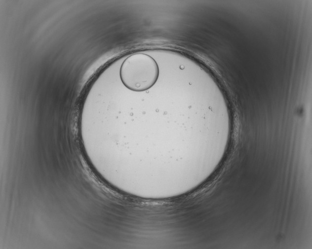 X0000115221458200912091210