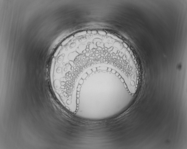 X0000115221459200912091210