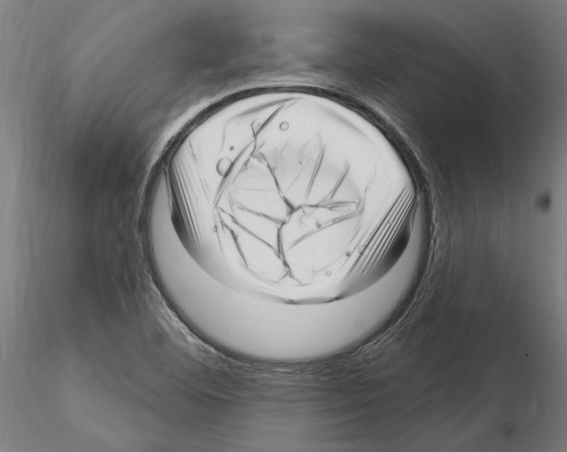 X0000115221460200912091210