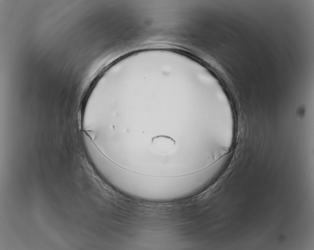 X0000115221461200912091210
