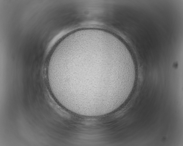 X0000115221462200912091210