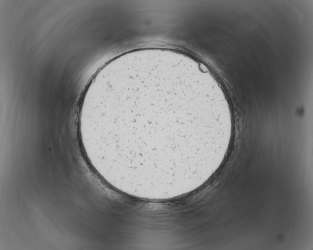 X0000115221463200912091210