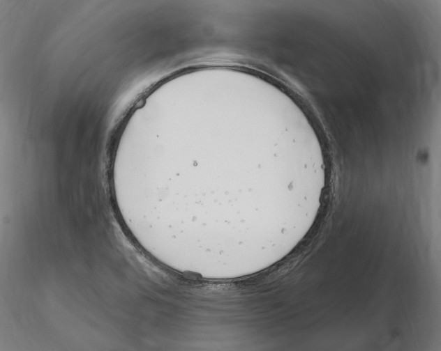 X0000115221464200912091210