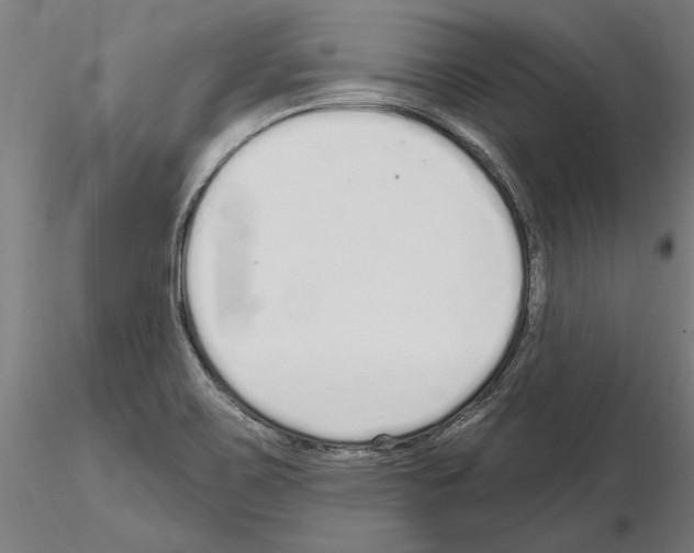 X0000115221467200912091210