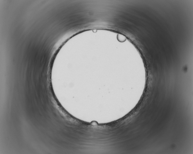 X0000115221469200912091210