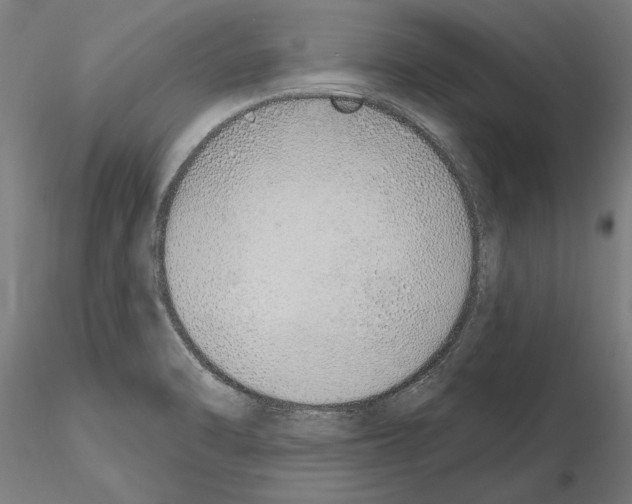 X0000115221470200912091210