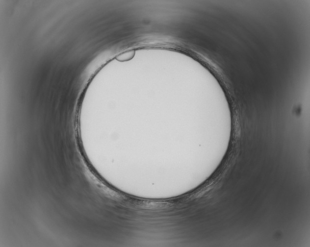 X0000115221471200912091210