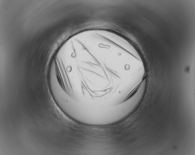 X0000115221472200912091210