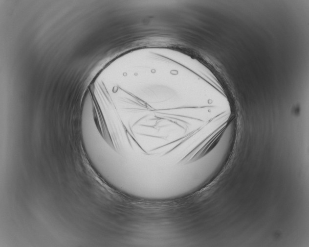X0000115221473200912091210