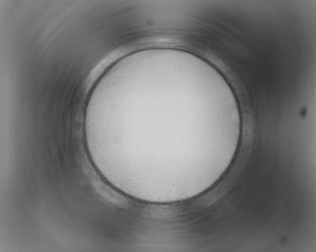 X0000115221474200912091210