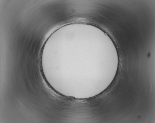 X0000115221475200912091210