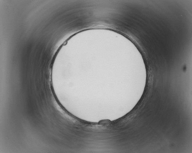 X0000115221476200912091210