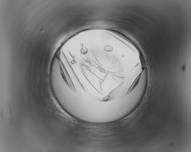 X0000115221477200912091210