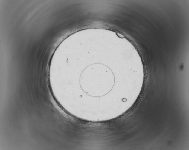 X0000115221479200912091210
