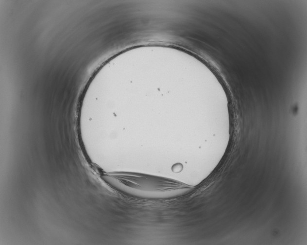 X0000115221480200912091210