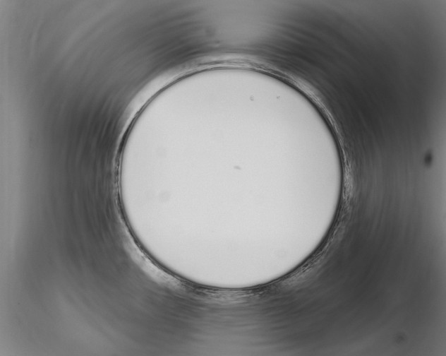 X0000115221482200912091210