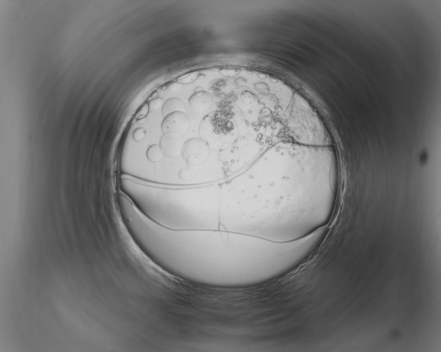X0000115221483200912091210