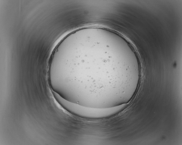 X0000115221484200912091210