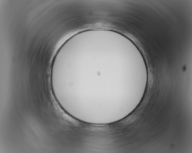 X0000115221486200912091210