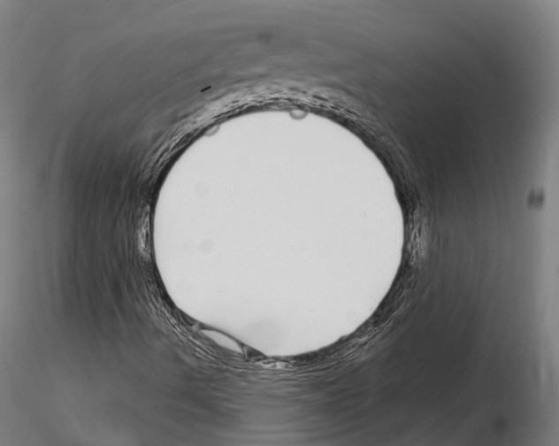 X0000115221490200912091209