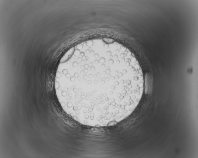 X0000115221491200912091209