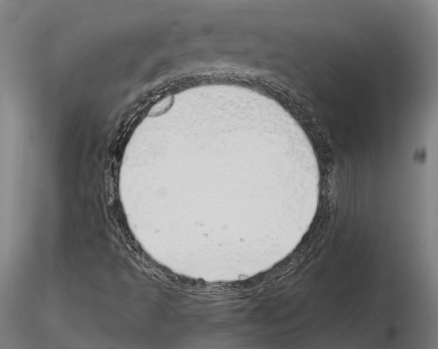 X0000115221493200912091209