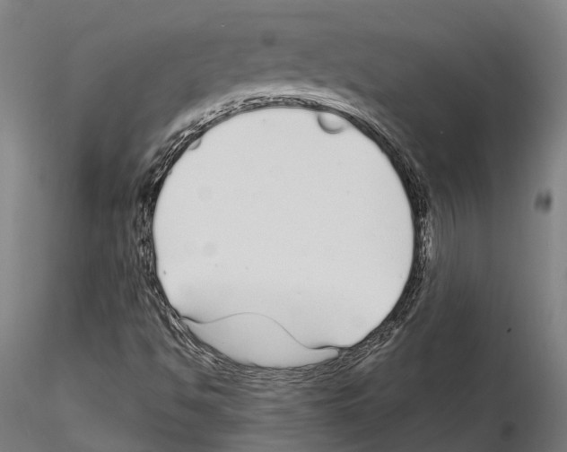 X0000115221494200912091209
