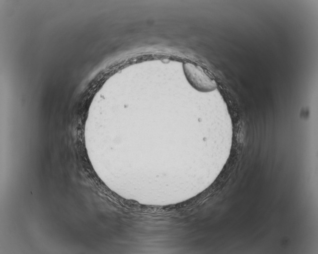 X0000115221495200912091209