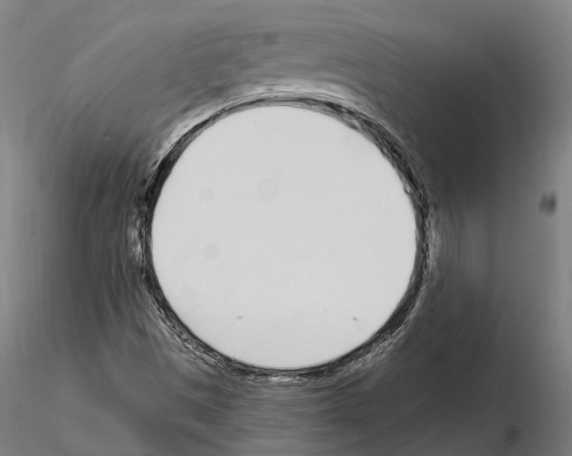 X0000115221497200912091209