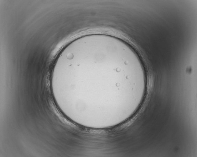 X0000115221498200912091209