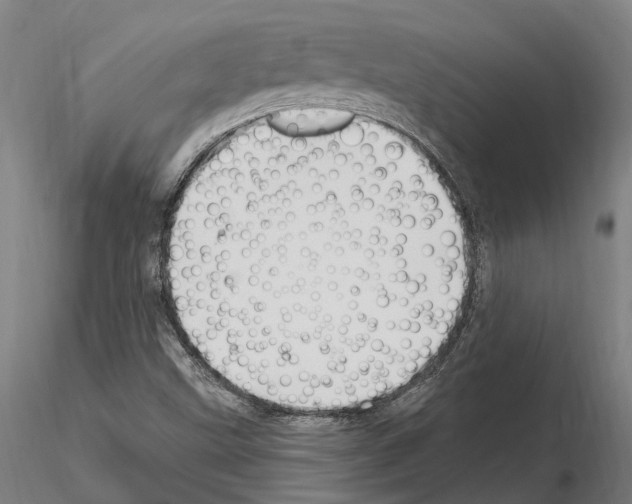 X0000115221499200912091209