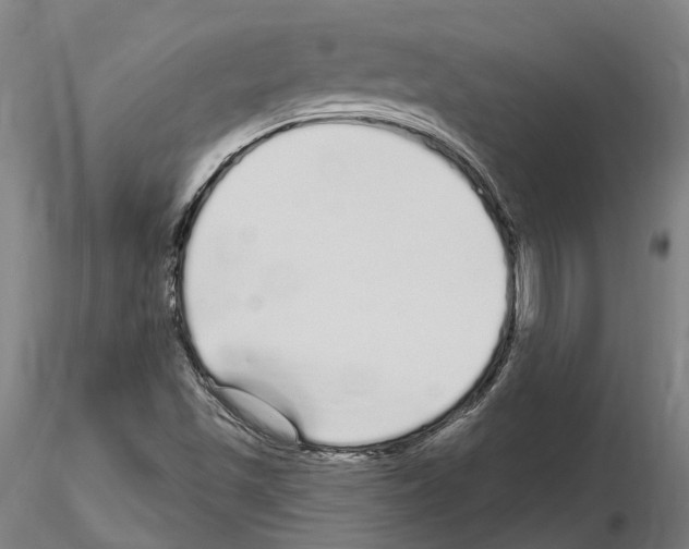 X0000115221501200912091209