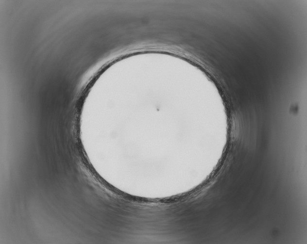 X0000115221502200912091209