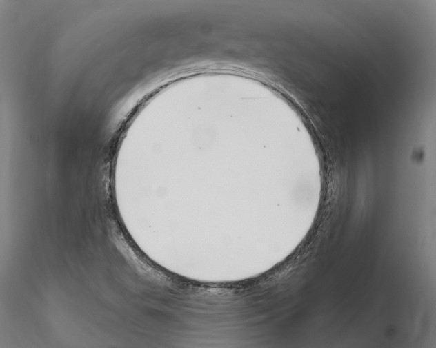 X0000115221503200912091209