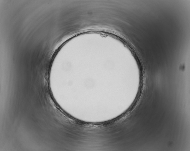 X0000115221505200912091209