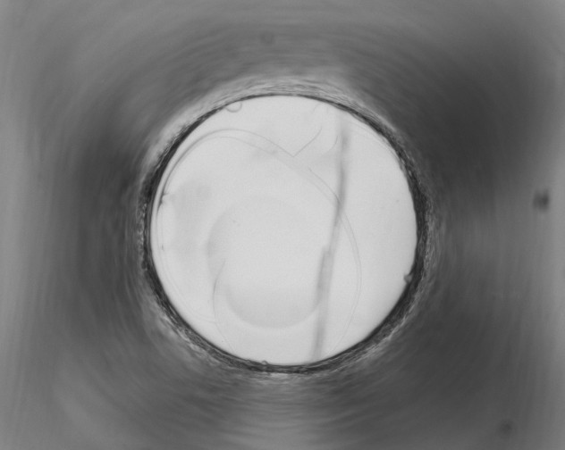 X0000115221506200912091209