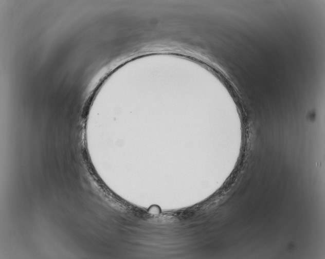 X0000115221509200912091209