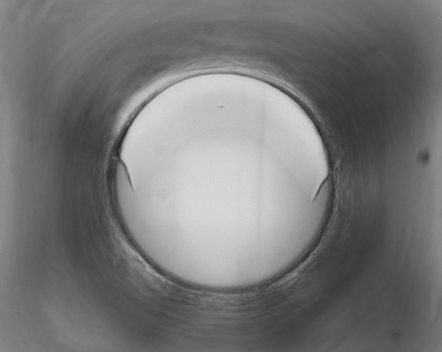 X0000115221510200912091209