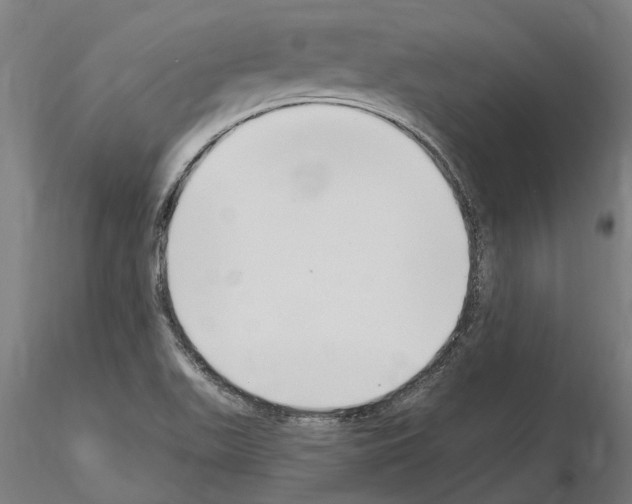 X0000115221511200912091209