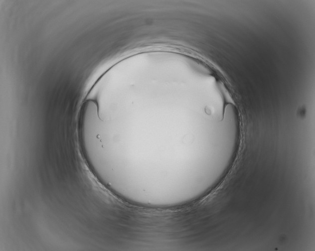 X0000115221514200912091209