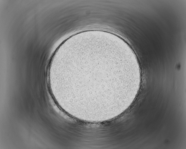 X0000115221515200912091209